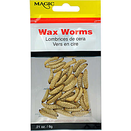 Preserved Wax Worms