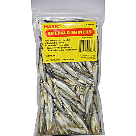 Preserved Emerald Shiners - 16 Oz.