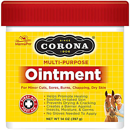 14 oz Multi-Purpose Antiseptic Ointment