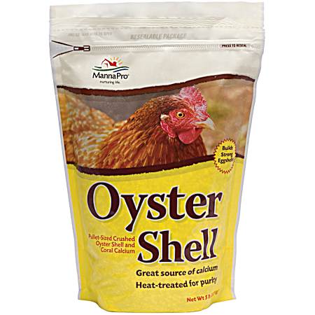 Oyster Shell