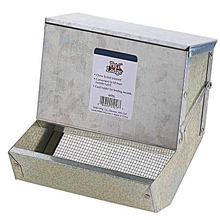 7 in Metal Feeder with Sifter Bottom