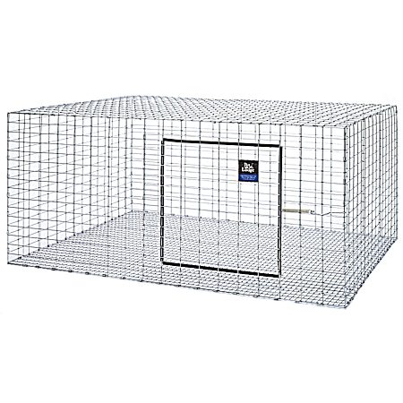 Rabbit Hutch - 30x36