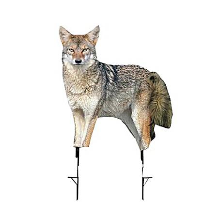 Song Dog Coyote Decoy