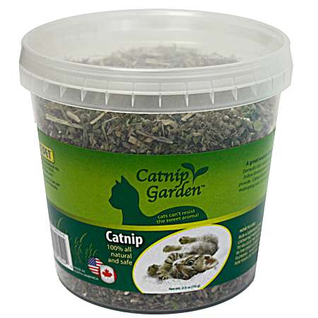 Catnip Garden Cup - 2.5 Oz.