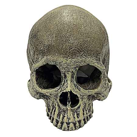 Human Skull Half Hide for Reptiles
