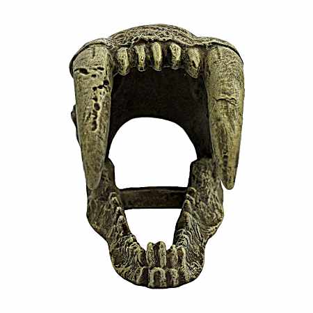 Large Saber Tooth Tiger Skull Hide for Reptiles