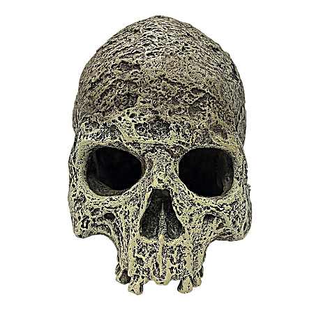Human Skull Textured Hide for Reptiles