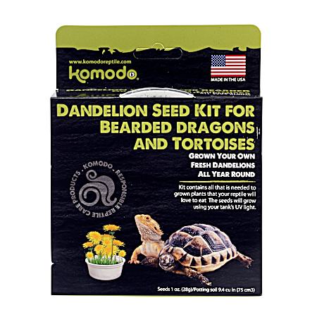 Grow-Your-Own Dandelion Seed Kit