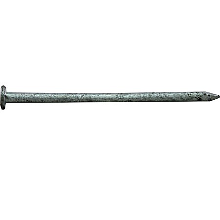 Hot Dipped Galvanized Common Frame Nails