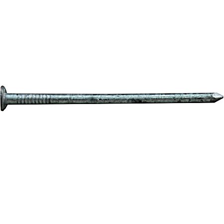 Hot Dipped Galvanized Box Nails