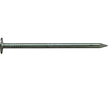 Electro Galvanized Roofing Nails