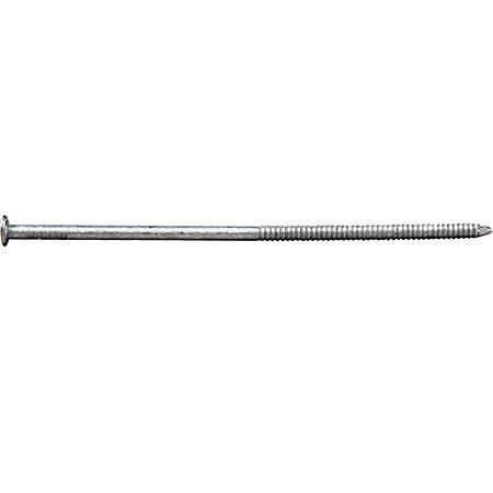 5 lb Galvanized Ring Shank Pole Barn Nails