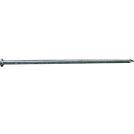 5 lb Hot Dipped Galvanized Common Spikes