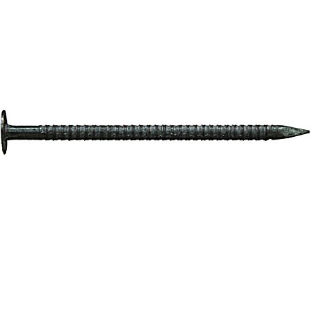 1 lb Ring Shank Drywall Nails