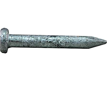 Hot Dipped Galvanized Joist Hanger Nails