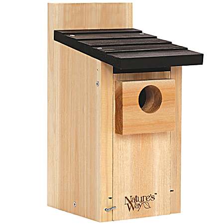 Bluebird Box House