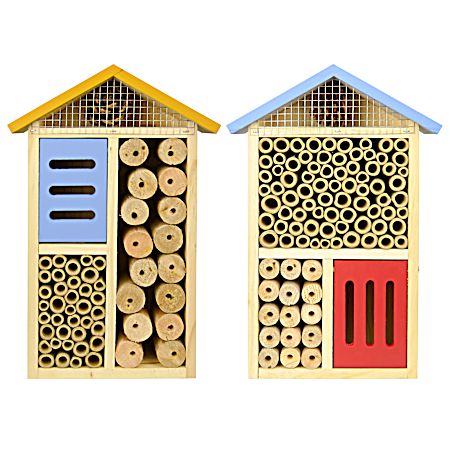 Multi-Chamber Insect House - Assorted
