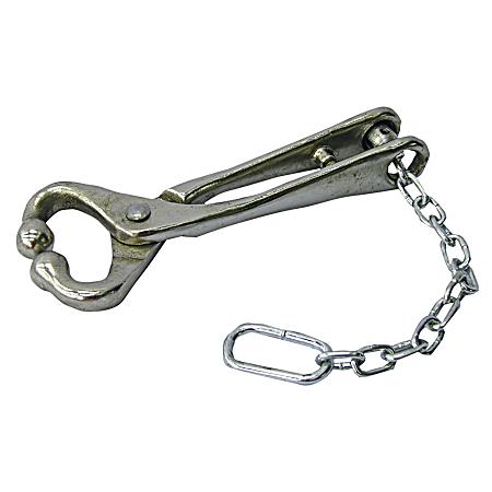 Bull Lead w/ Chain