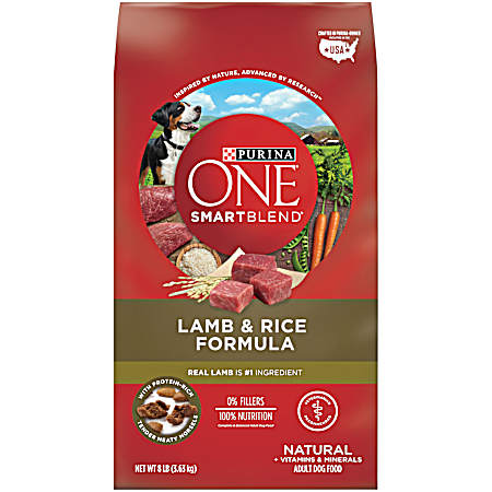 ONE SmartBlend Adult Lamb & Rice Dry Dog Food