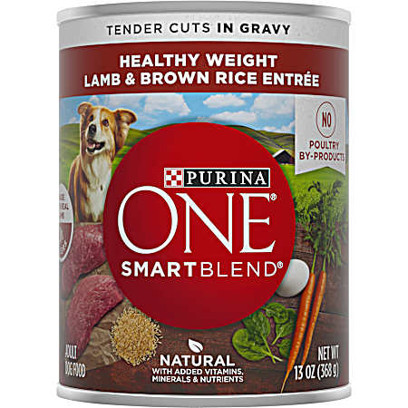 ONE Healthy Weight Adult Lamb & Brown Rice Tender Cuts in Gravy Wet Dog Food