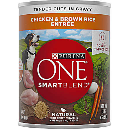 ONE SmartBlend Adult Chicken & Brown Rice Tender Cuts in Gravy Wet Dog Food