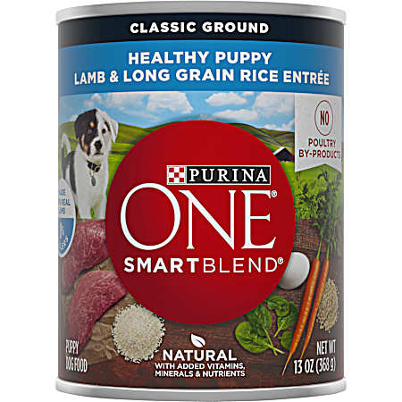 ONE SmartBlend Healthy Puppy Lamb & Long Grain Rice Classic Ground Wet Food