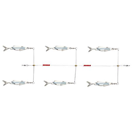 6-Pc Schoolie Flasher