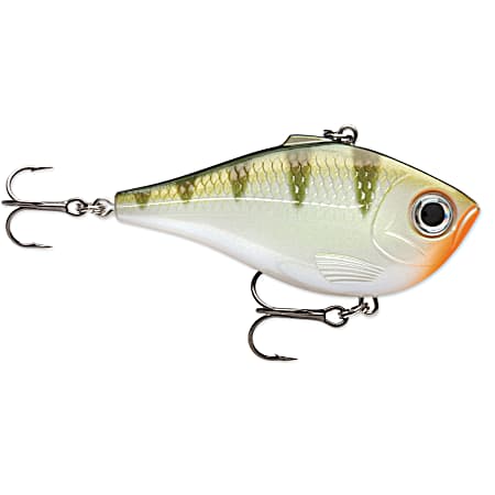 Rippin' Rap - Yellow Perch
