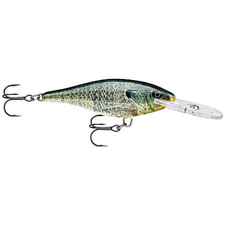 Shad Rap - Live Bluegill