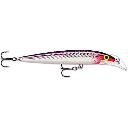 Scatter Rap Deep Husky Jerk - Purple Clown