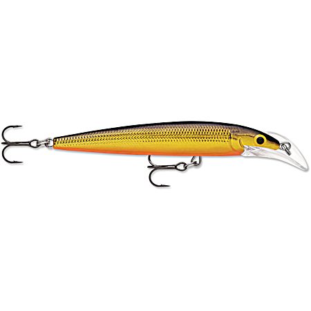 Scatter Rap Deep Husky Jerk - Gold