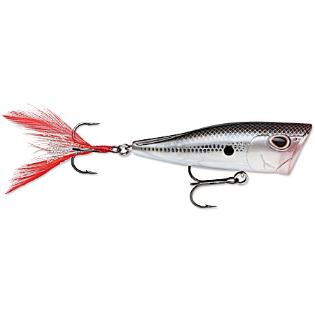 Arashi Cover Pop - Black Silver Shad