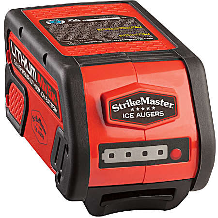 40V Lithium Ion Battery