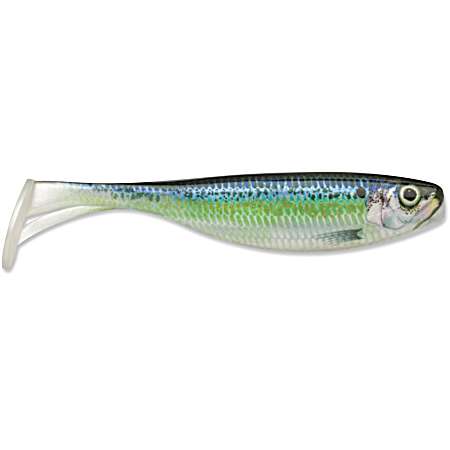 Live River Shad Largo Shad Jig