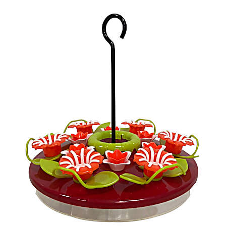16 oz Red/Green Hanging Tray Hummingbird Feeder