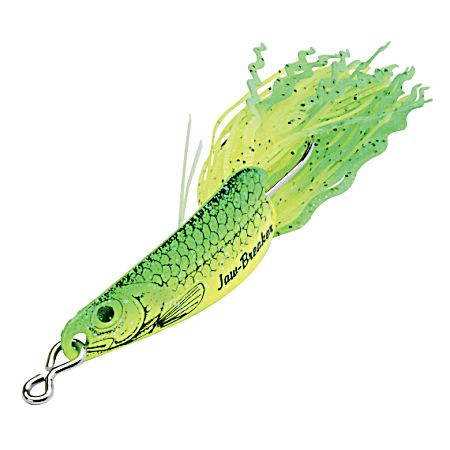 Jaw-Breaker Spoon - Parakeet