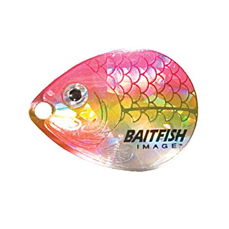Baitfish-Image Colorado Blade - Dace Pink