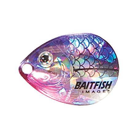 Baitfish-Image Colorado Blade - Cisco Purple