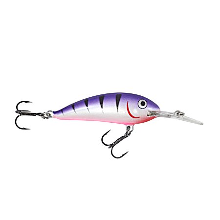 Purple Tiger Rumble Shad Crankbait