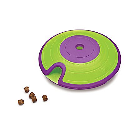 Dog Treat Maze - Tap & Flip Treat Game