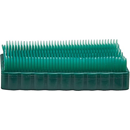 Green Multi-Purpose Vegetable Brush