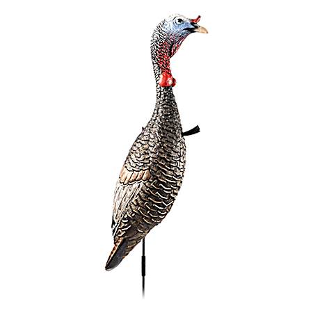 Funky Chicken Gen2 Decoy