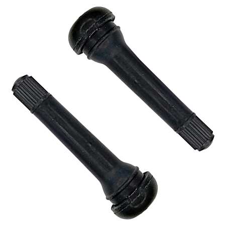 Snap-In Valve Stem TR418 - 2 Pk