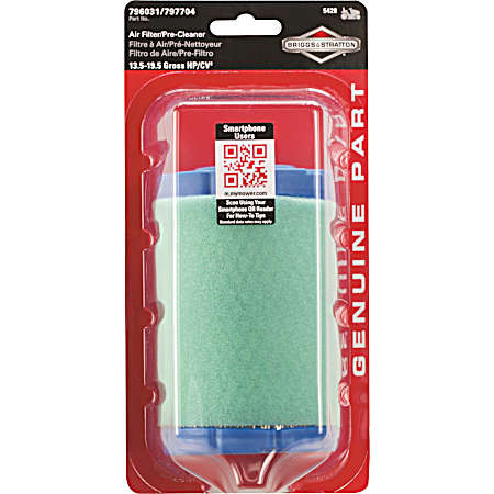 Air Filter & Pre-Cleaner