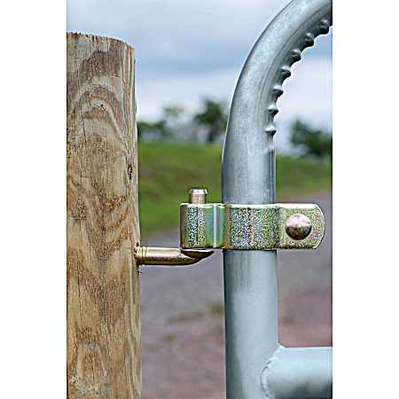1-3/4 in Gate Hinge Kit