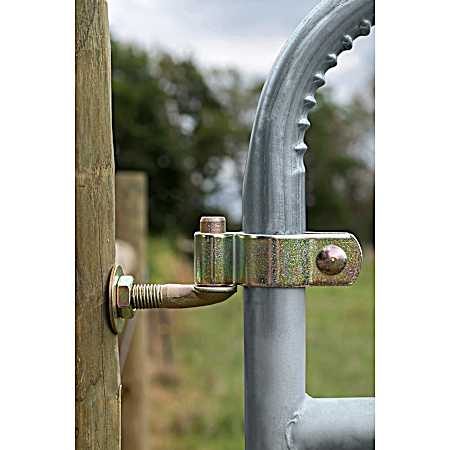 2 in Gate Hinge Kit