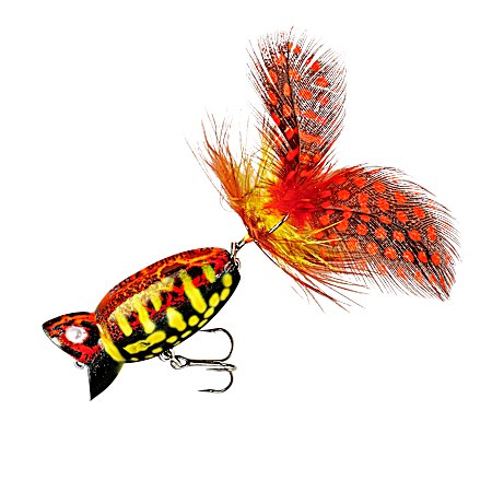 Coach Hog Hula Popper 2.0 Surface Bait