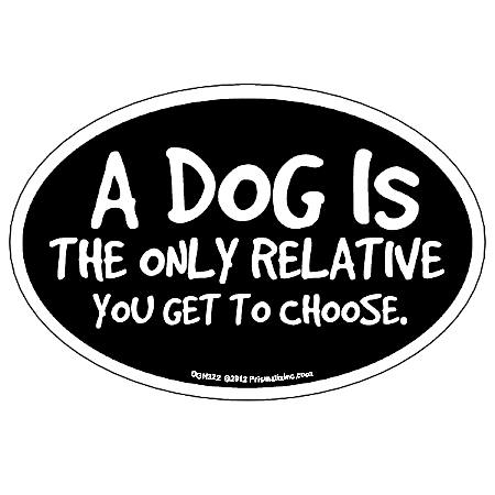 A Dog Is the Only Relative You Get to Choose Magnet