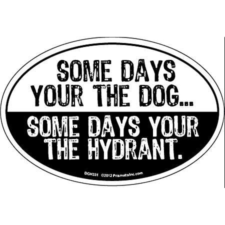 Some Days You?e the Dog Magnet