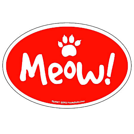 Meow Magnet